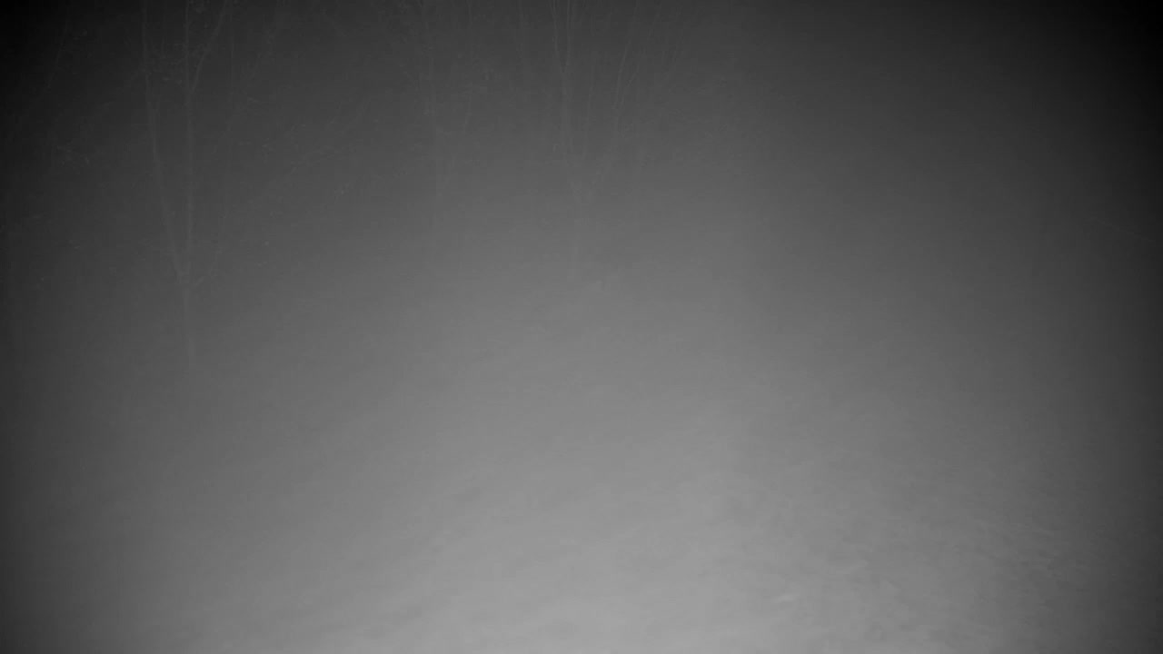 Webcam Ribnik Vrbje – Žalec