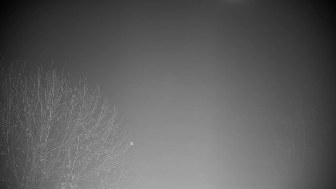 Web kamera Ribnik Vrbje – Žalec