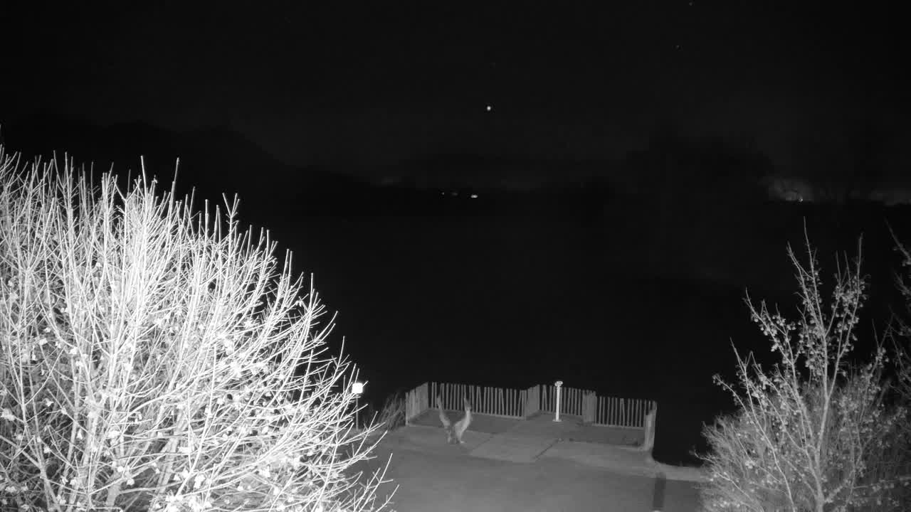 Webcam Ribnik Vrbje – Žalec