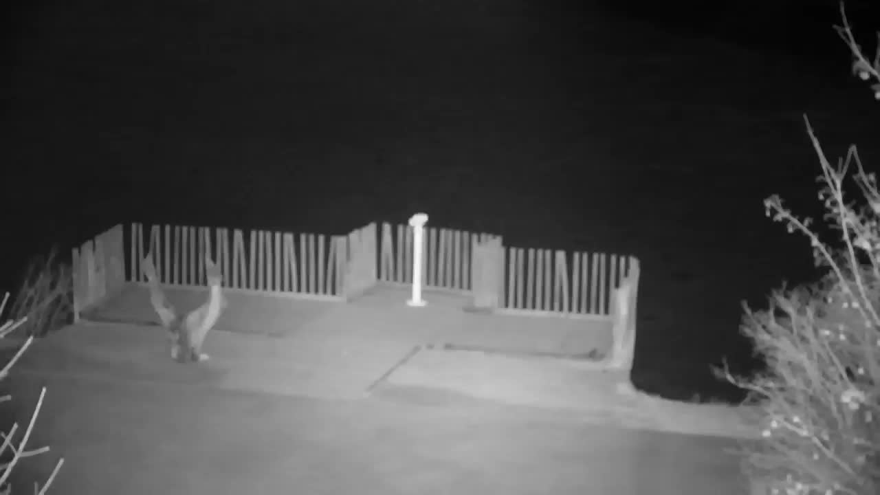 Webcam Ribnik Vrbje – Žalec