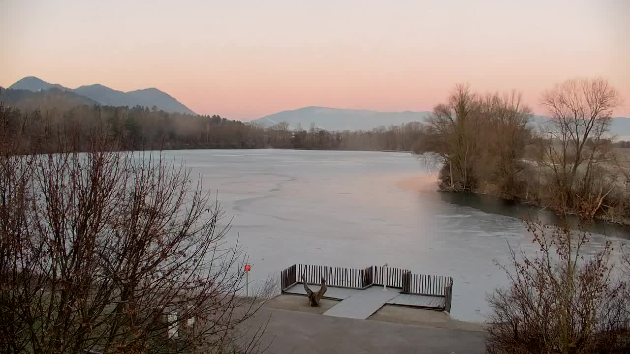 Spletna kamera Ribnik Vrbje – Žalec