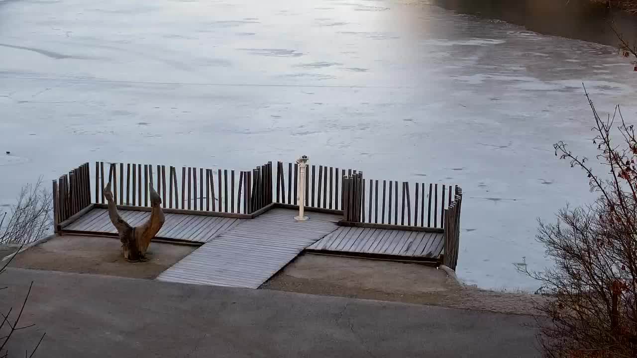 Webcam Ribnik Vrbje – Žalec