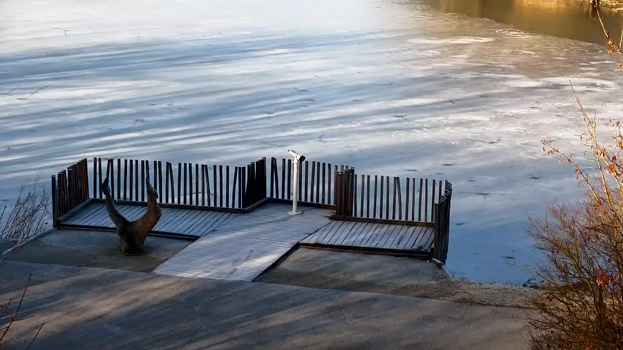 Spletna kamera Ribnik Vrbje – Žalec