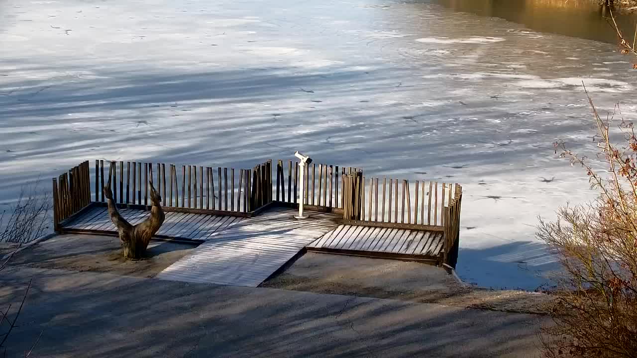 Spletna kamera Ribnik Vrbje – Žalec