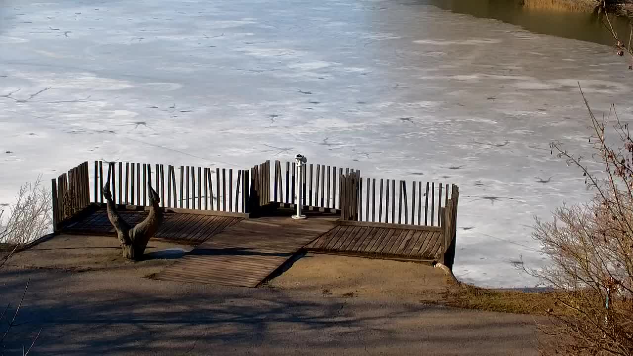 Webcam Ribnik Vrbje – Žalec