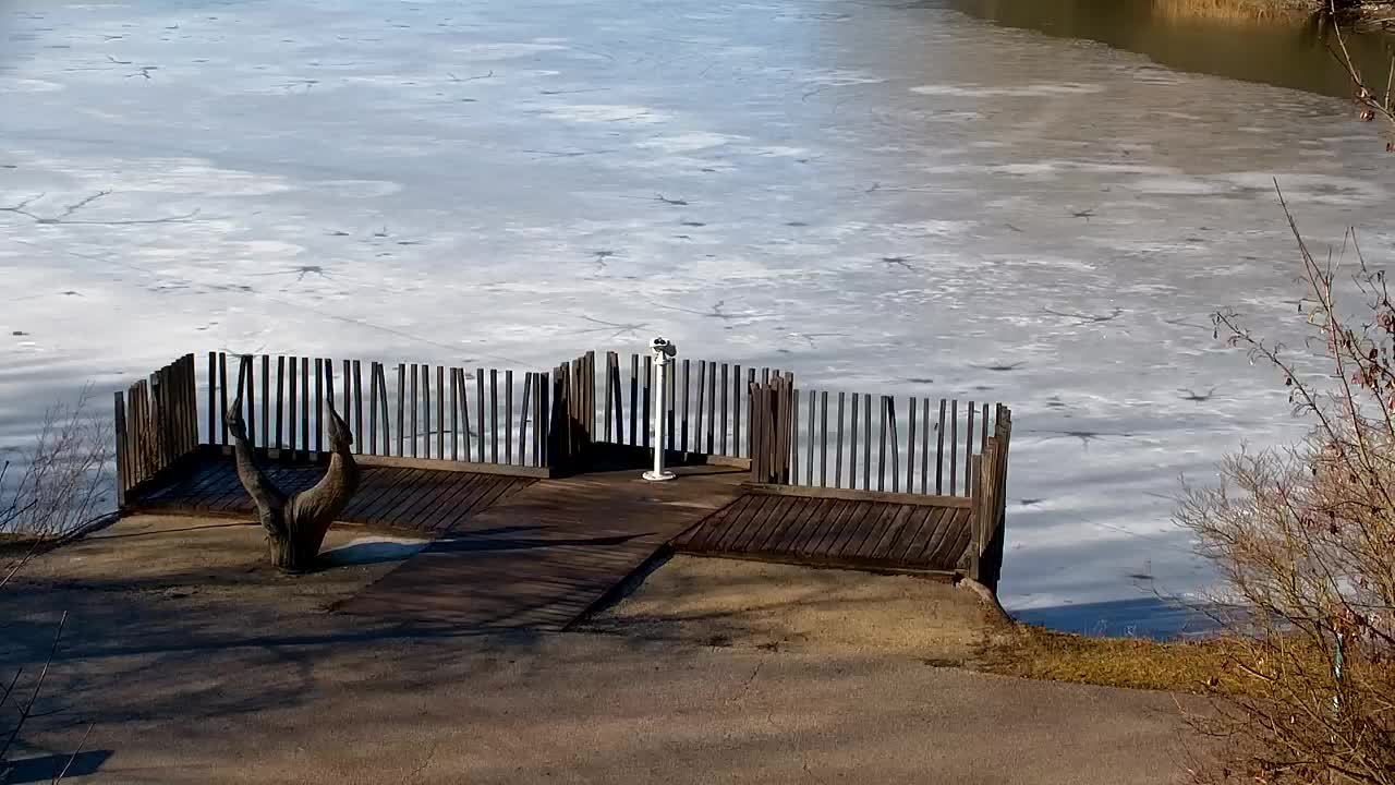 Spletna kamera Ribnik Vrbje – Žalec