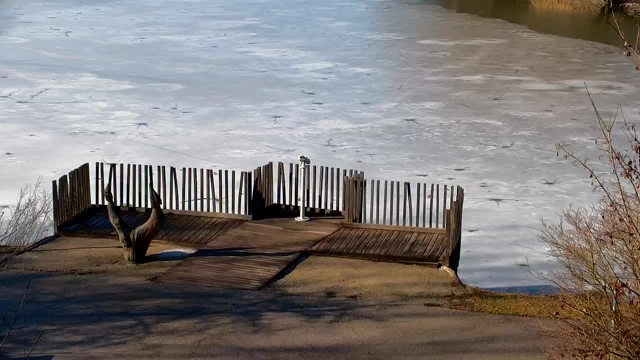 Webcam Ribnik Vrbje – Žalec