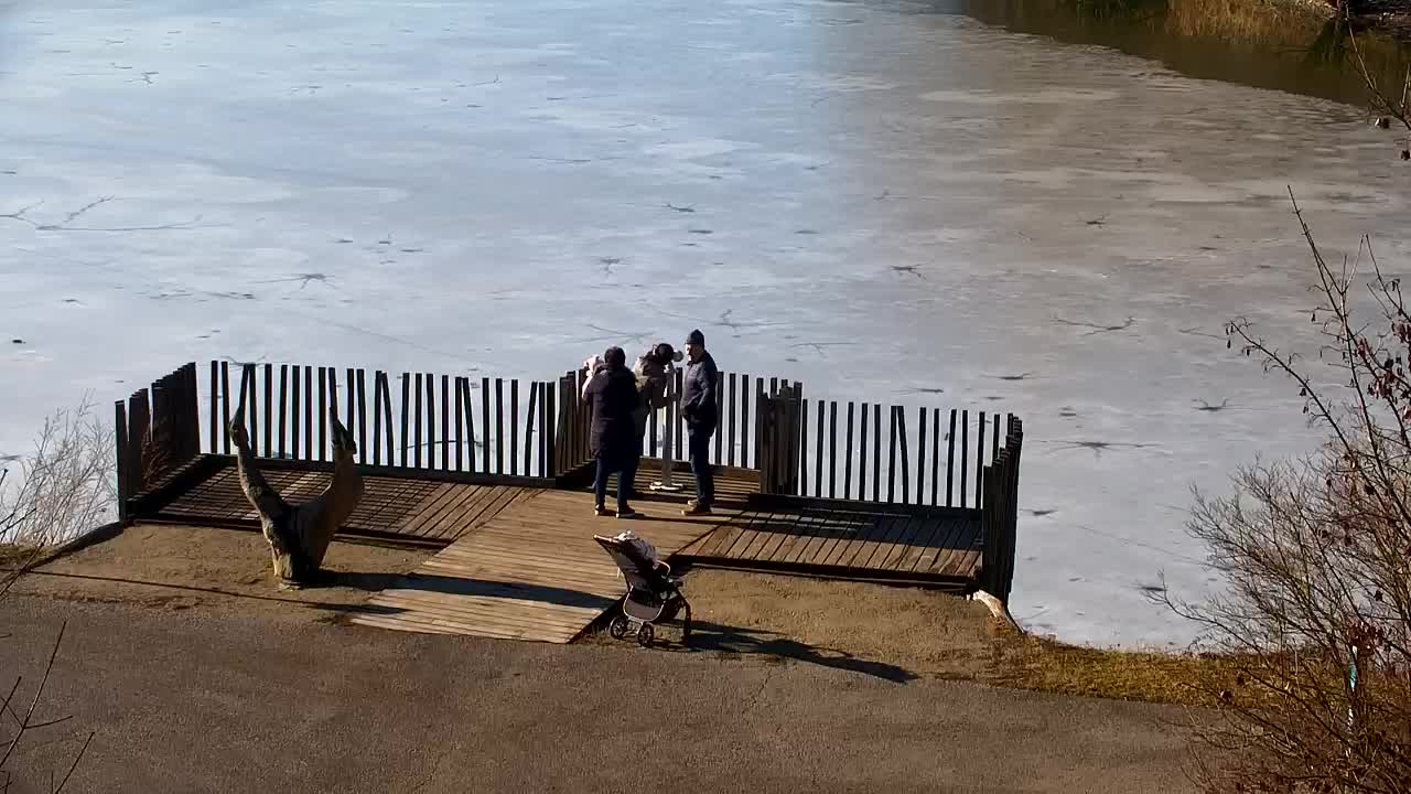 Web kamera Ribnik Vrbje – Žalec