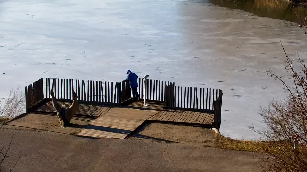 Spletna kamera Ribnik Vrbje – Žalec