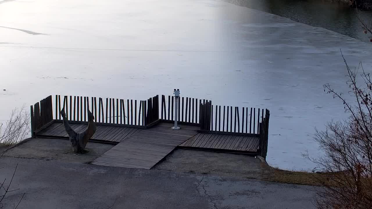 Webcam Ribnik Vrbje – Žalec