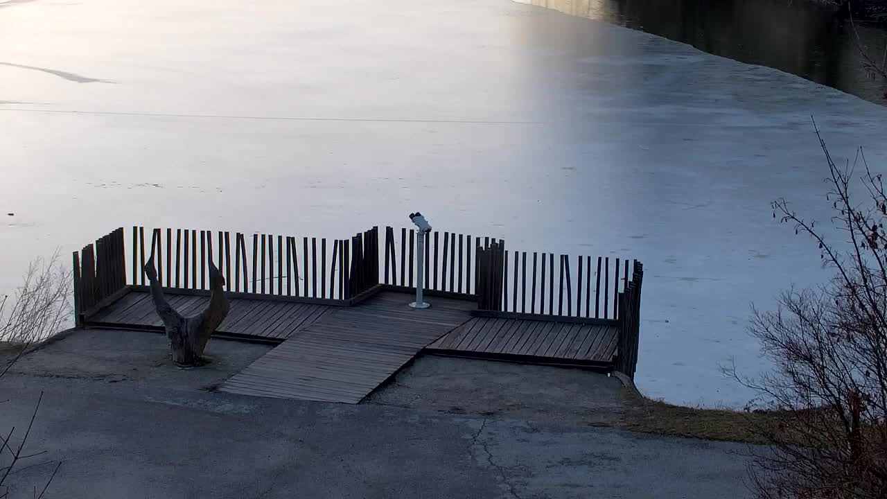 Webcam Ribnik Vrbje – Žalec