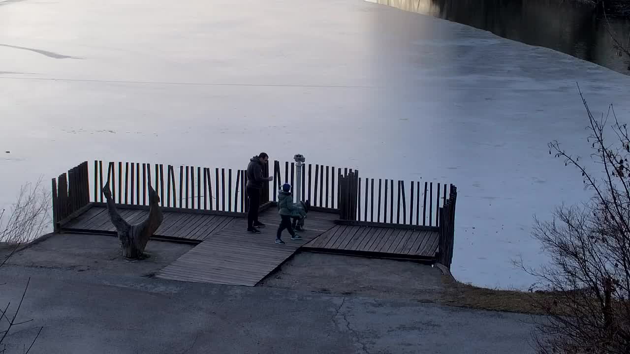 Webcam Ribnik Vrbje – Žalec