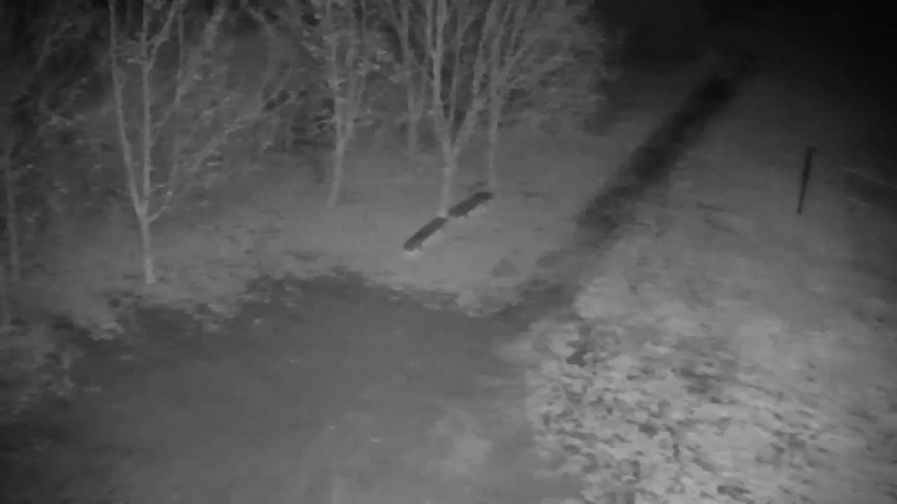 Webcam Ribnik Vrbje – Žalec