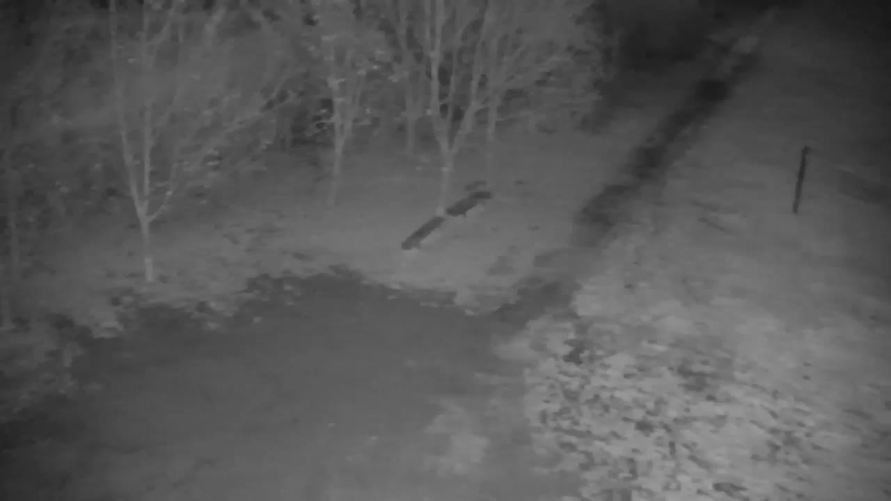 Webcam Ribnik Vrbje – Žalec