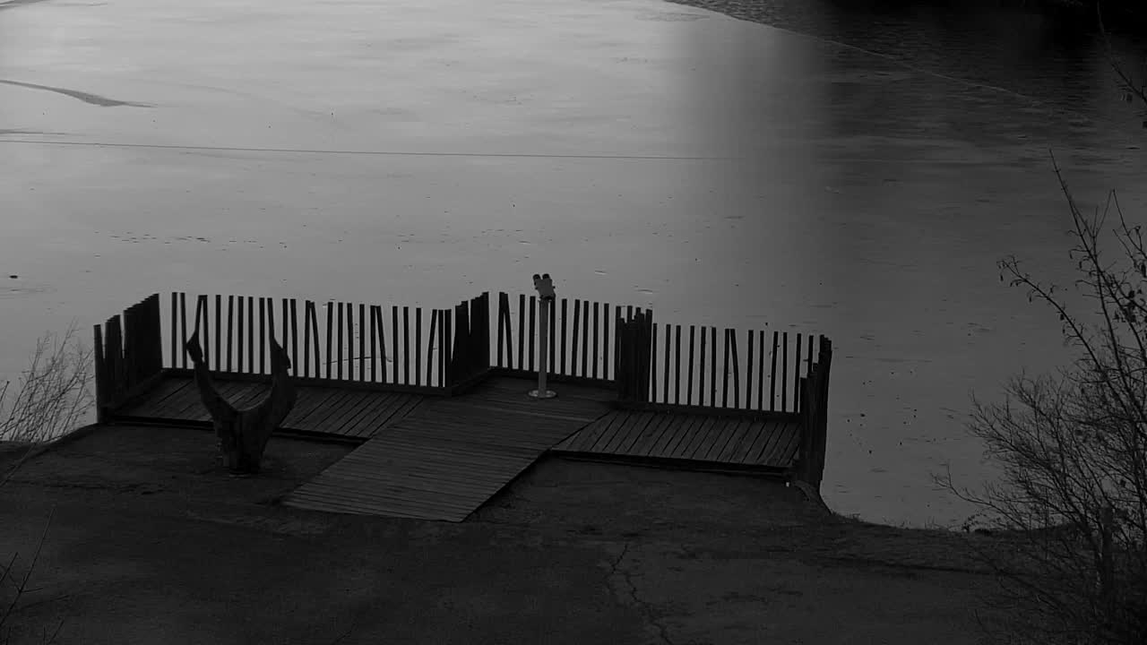 Webcam Ribnik Vrbje – Žalec