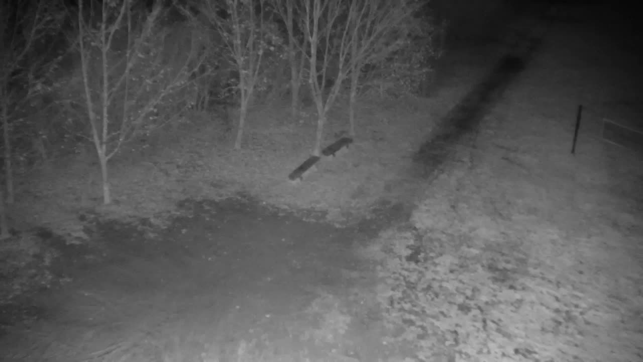 Webcam Ribnik Vrbje – Žalec