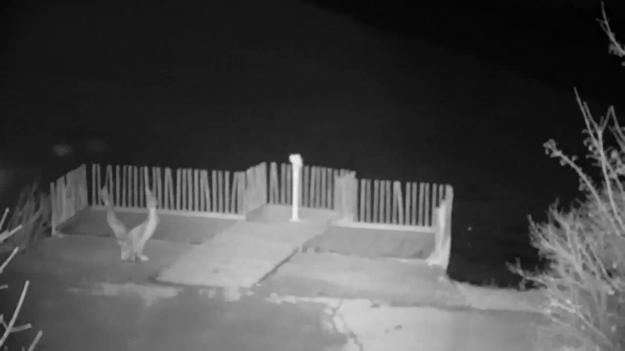 Webcam Ribnik Vrbje – Žalec