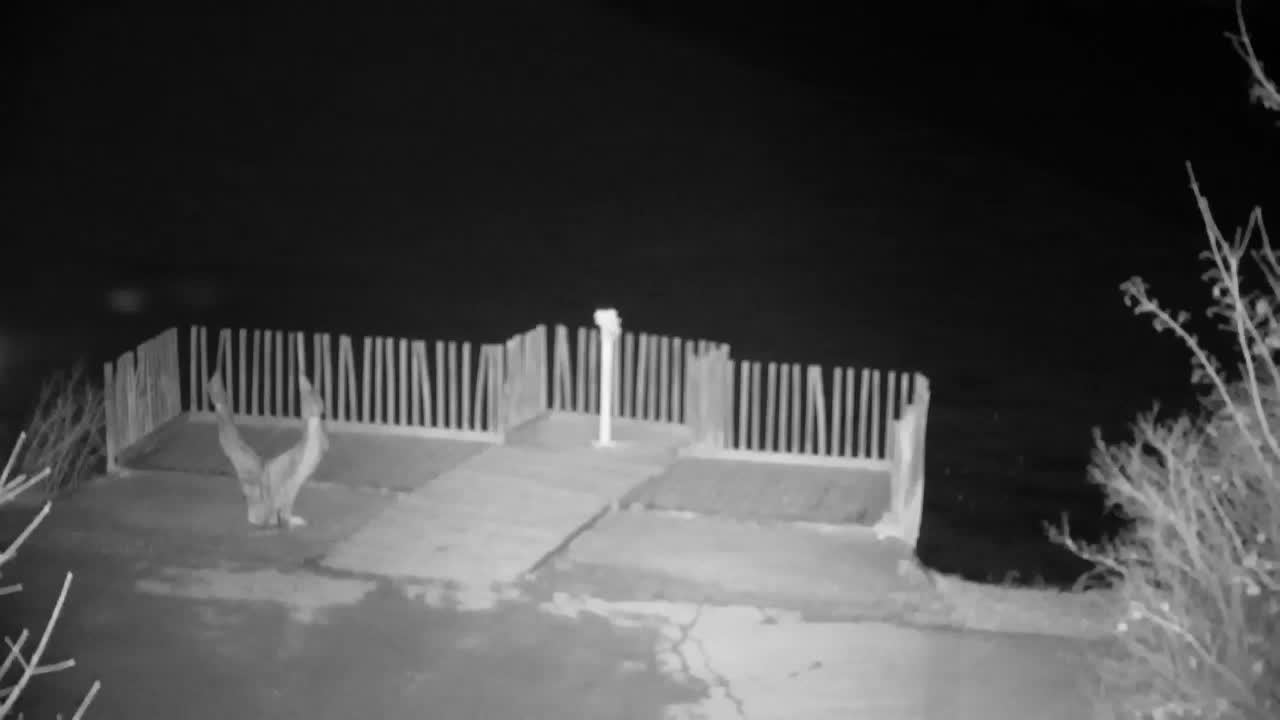 Webcam Ribnik Vrbje – Žalec