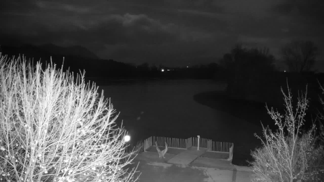 Webcam Ribnik Vrbje – Žalec