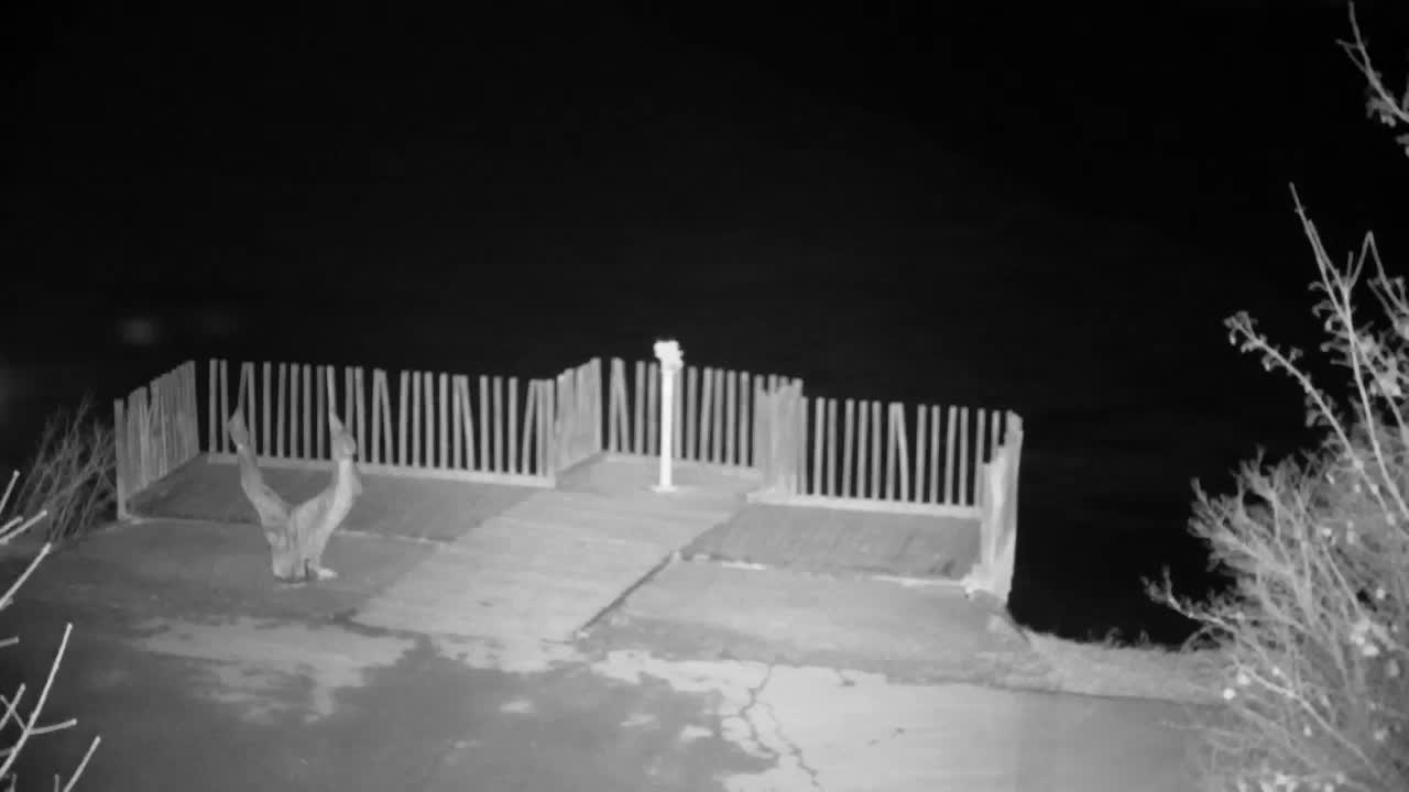 Webcam Ribnik Vrbje – Žalec