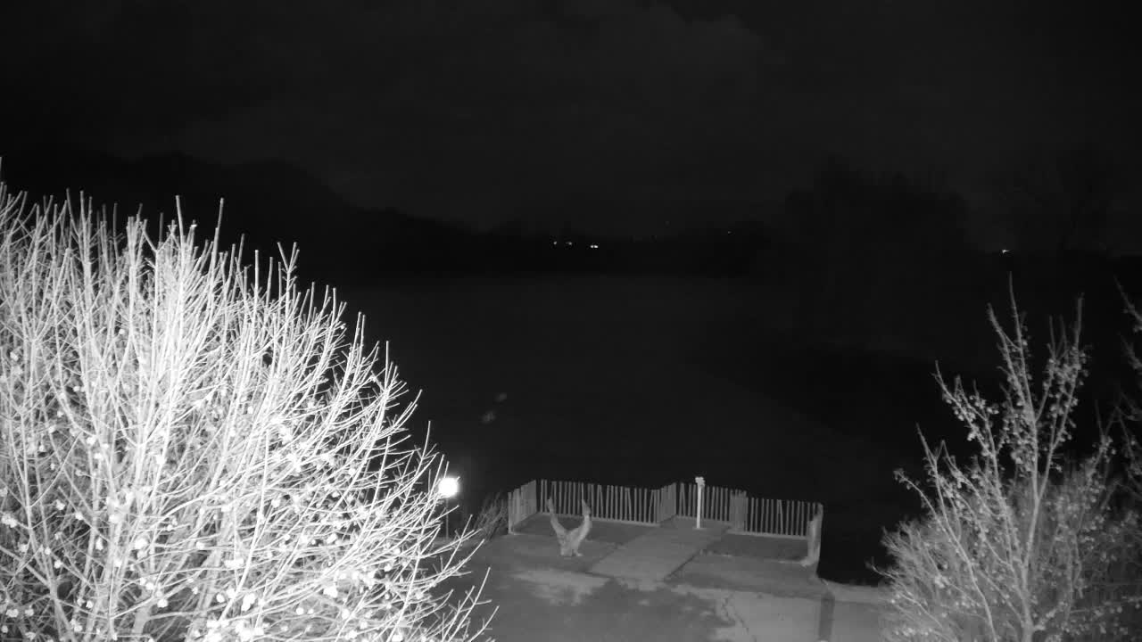 Spletna kamera Ribnik Vrbje – Žalec