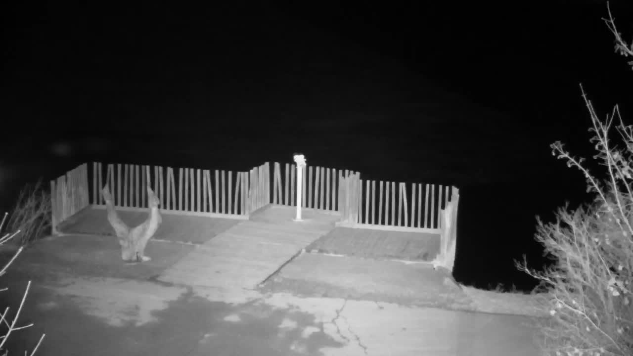 Webcam Ribnik Vrbje – Žalec