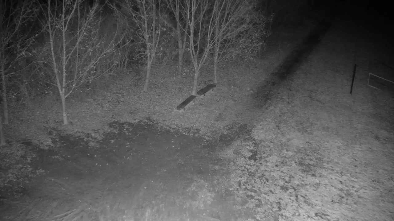 Webcam Ribnik Vrbje – Žalec