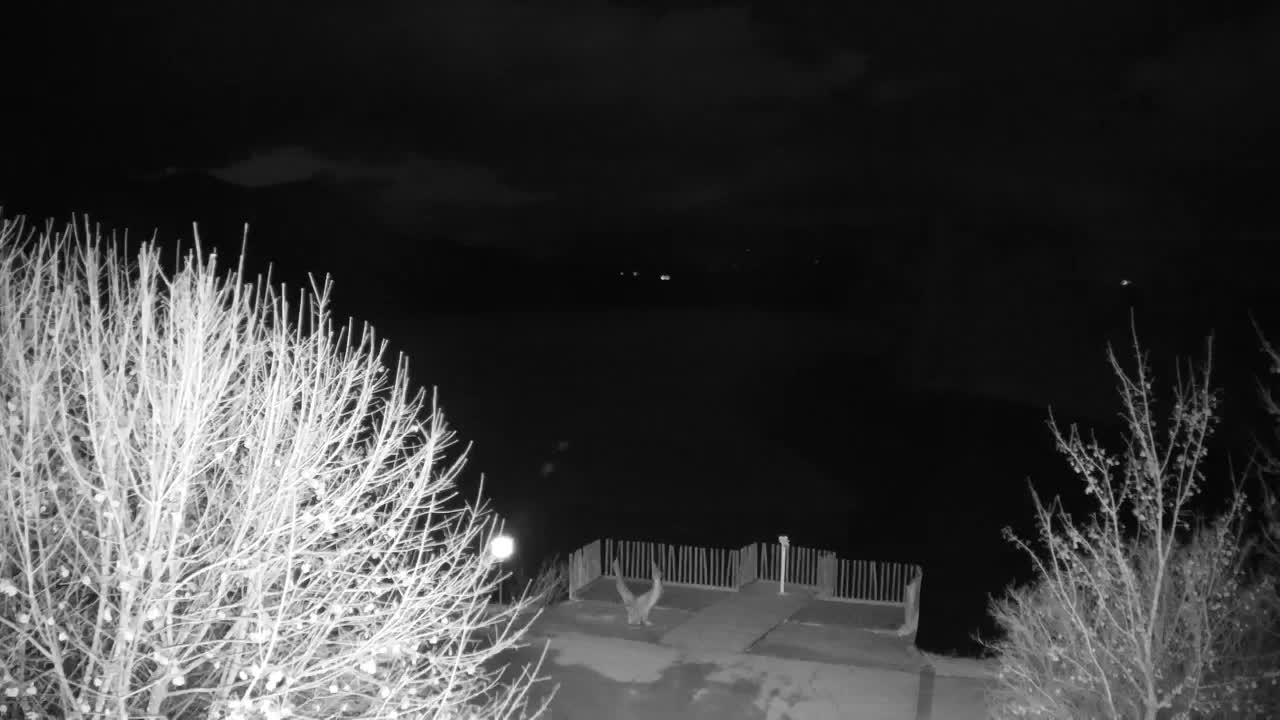 Webcam Ribnik Vrbje – Žalec