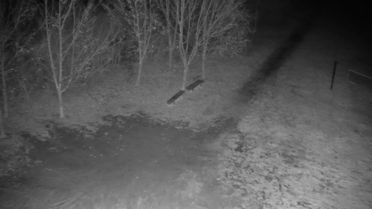 Spletna kamera Ribnik Vrbje – Žalec