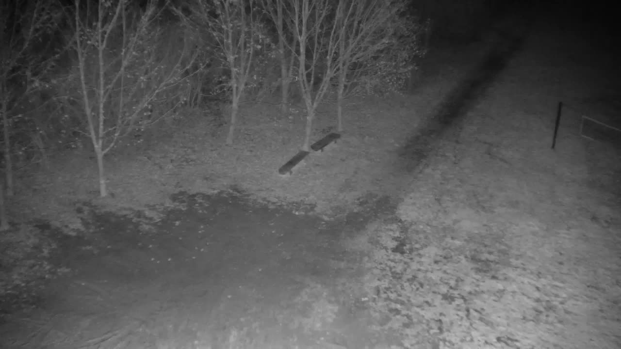 Webcam Ribnik Vrbje – Žalec