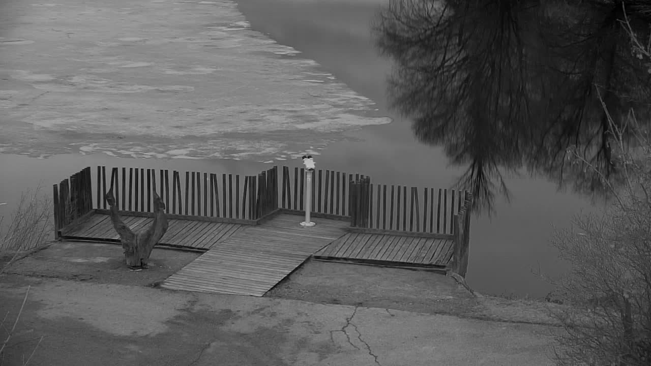 Webcam Ribnik Vrbje – Žalec