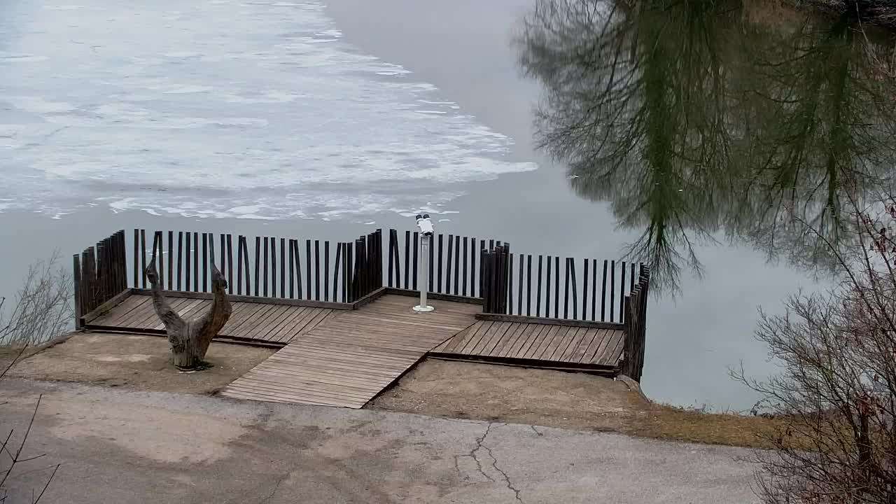 Web kamera Ribnik Vrbje – Žalec