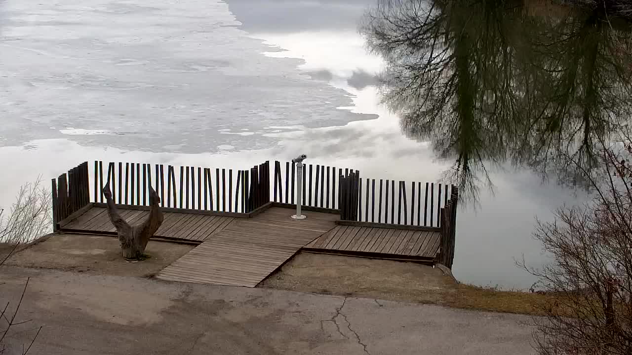 Webcam Ribnik Vrbje – Žalec