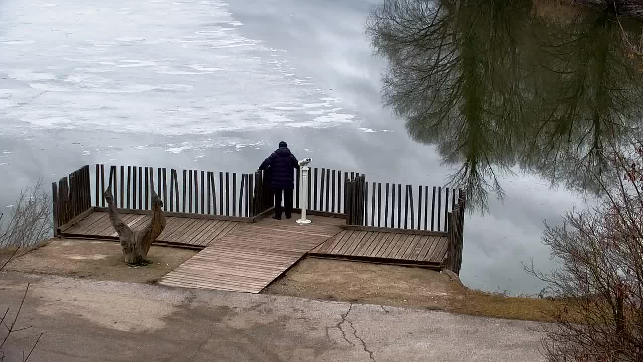 Webcam Ribnik Vrbje – Žalec