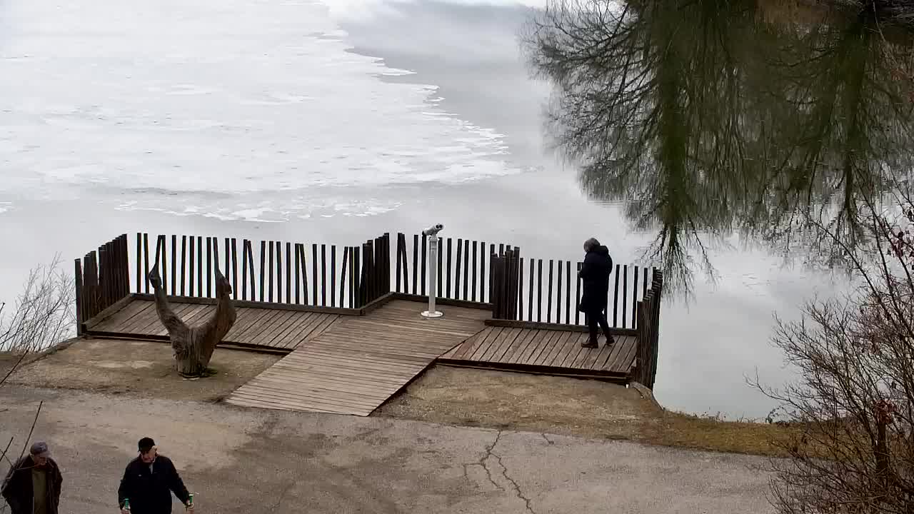 Webcam Ribnik Vrbje – Žalec