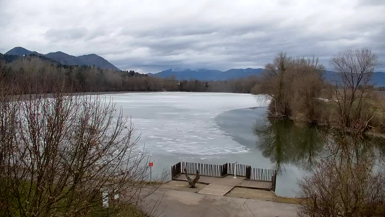 Webcam Ribnik Vrbje – Žalec