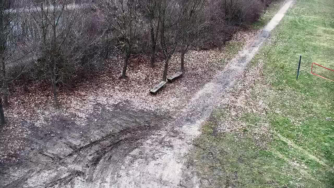 Spletna kamera Ribnik Vrbje – Žalec