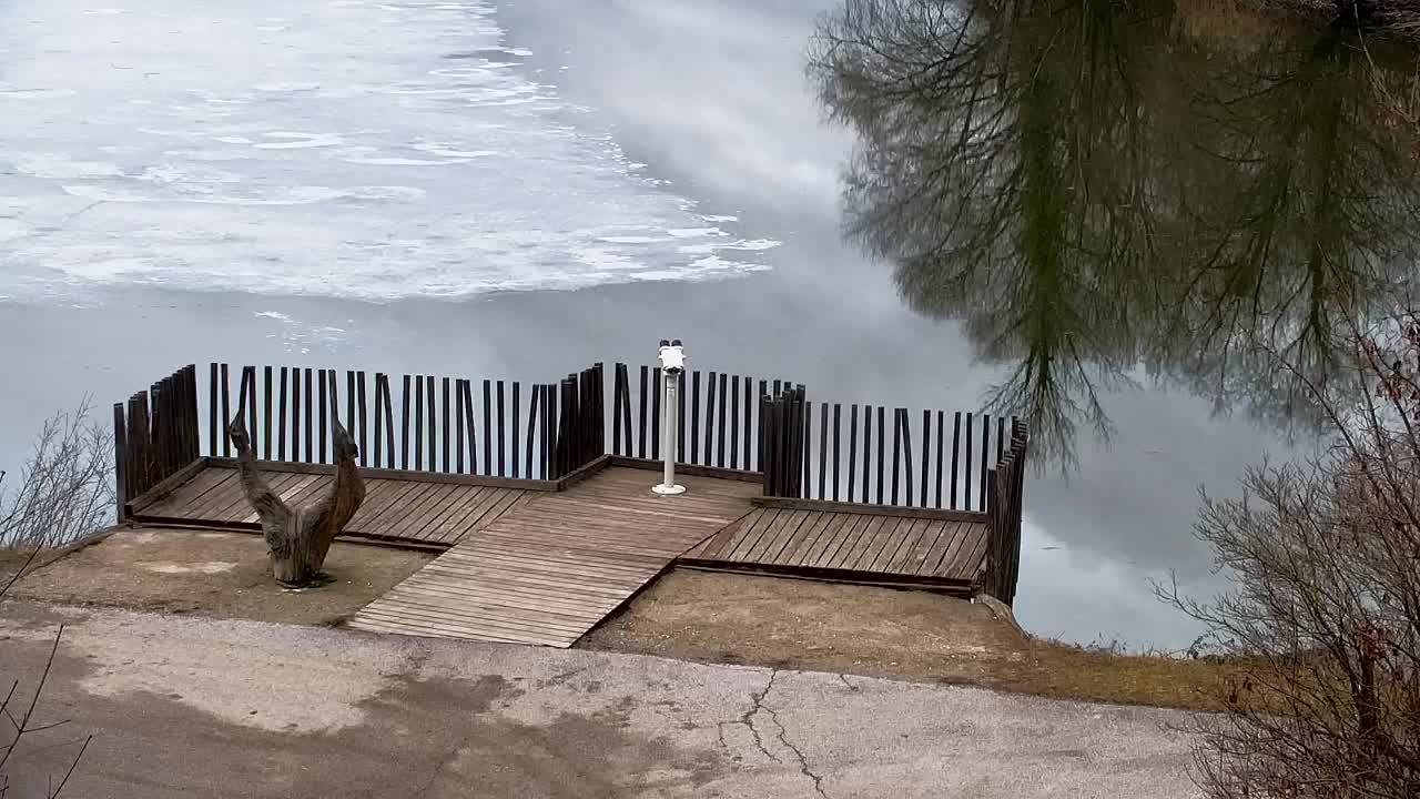 Webcam Ribnik Vrbje – Žalec