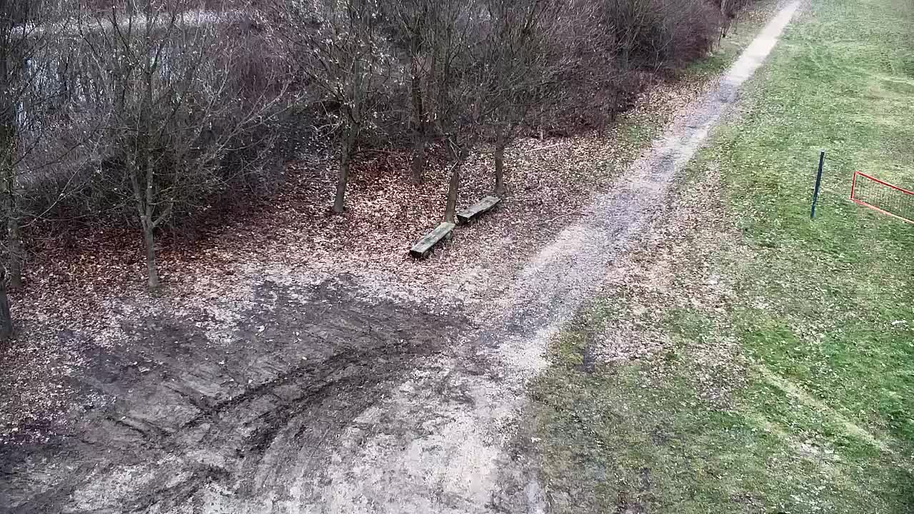 Web kamera Ribnik Vrbje – Žalec