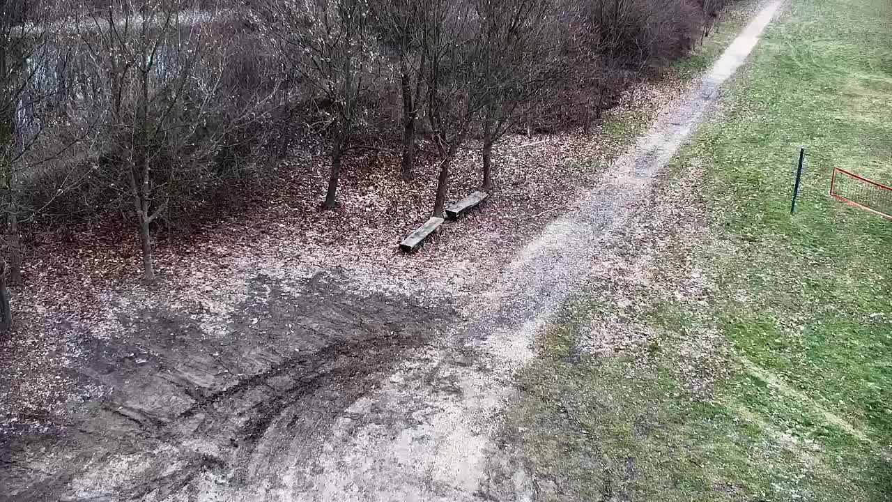 Spletna kamera Ribnik Vrbje – Žalec