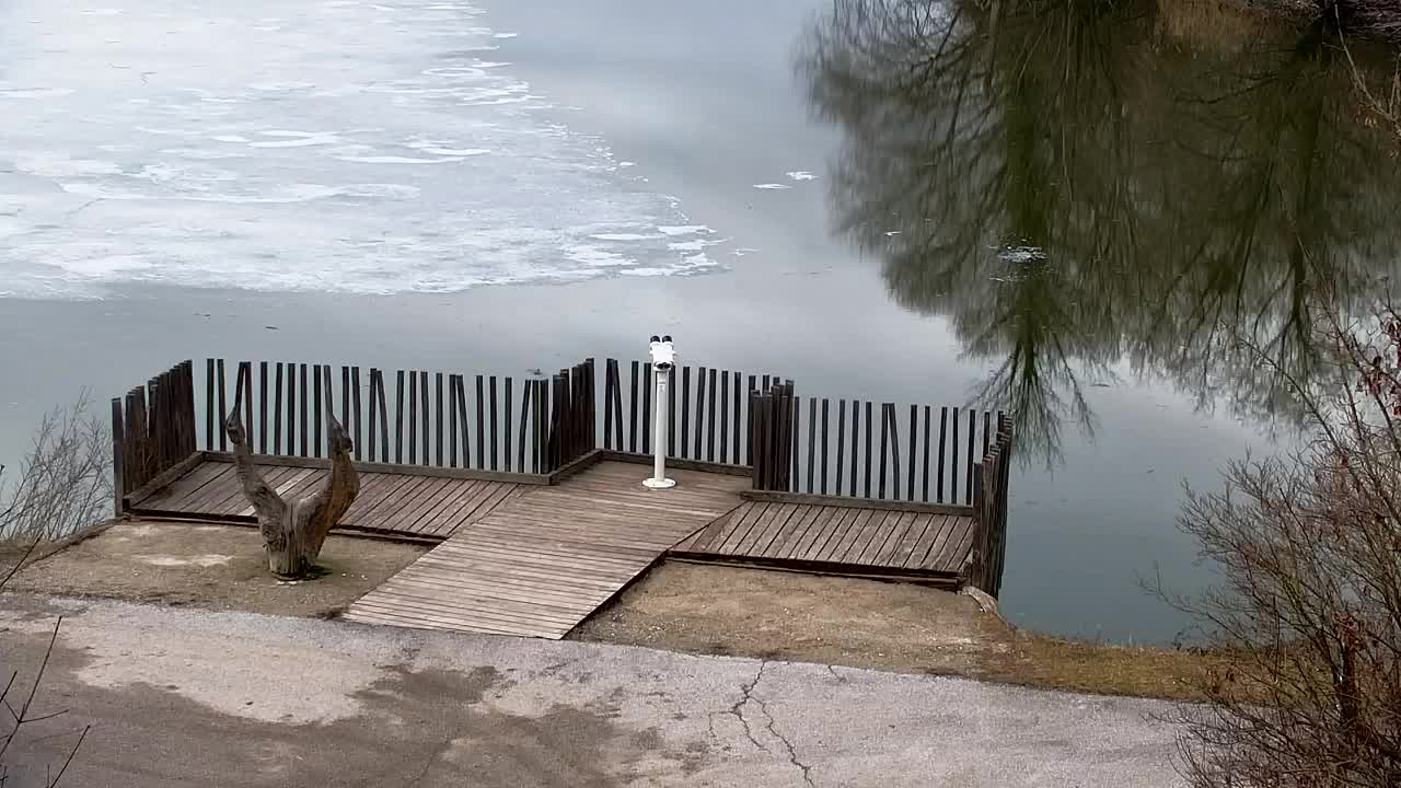 Spletna kamera Ribnik Vrbje – Žalec