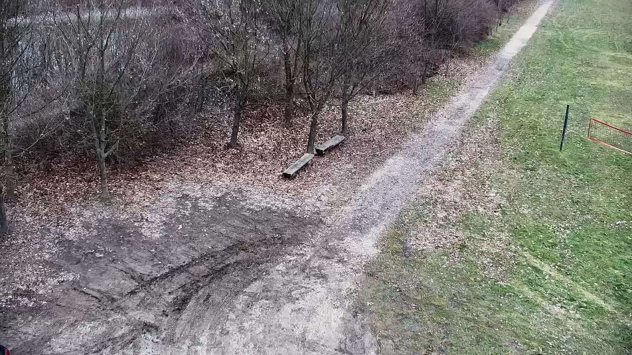 Webcam Ribnik Vrbje – Žalec