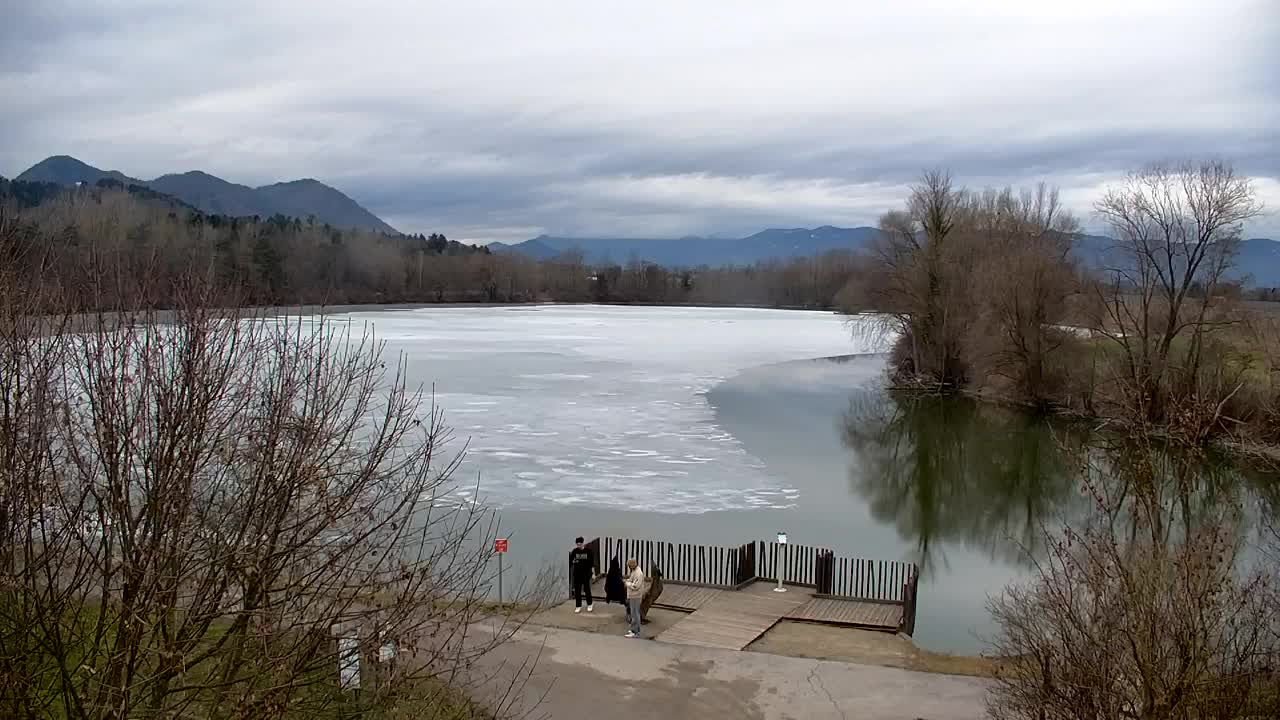 Webcam Ribnik Vrbje – Žalec