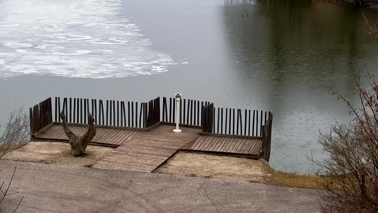 Webcam Ribnik Vrbje – Žalec