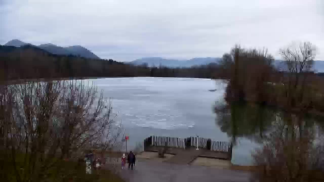 Spletna kamera Ribnik Vrbje – Žalec