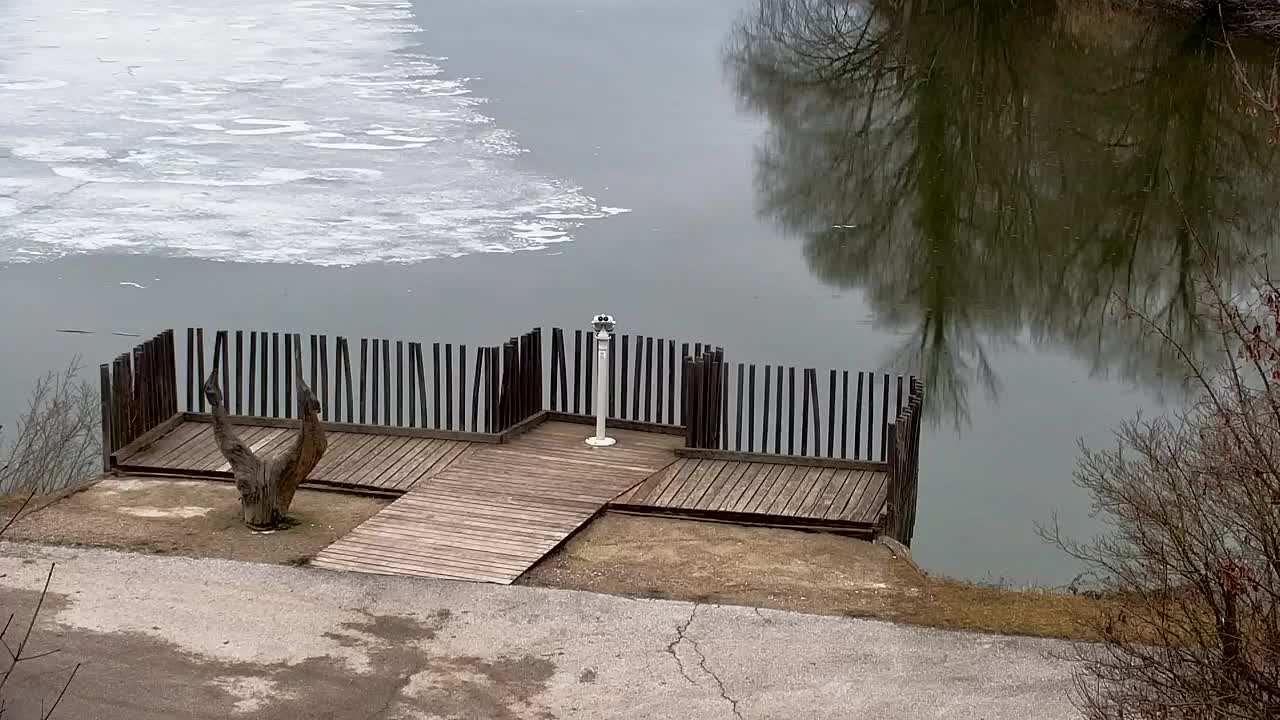 Webcam Ribnik Vrbje – Žalec