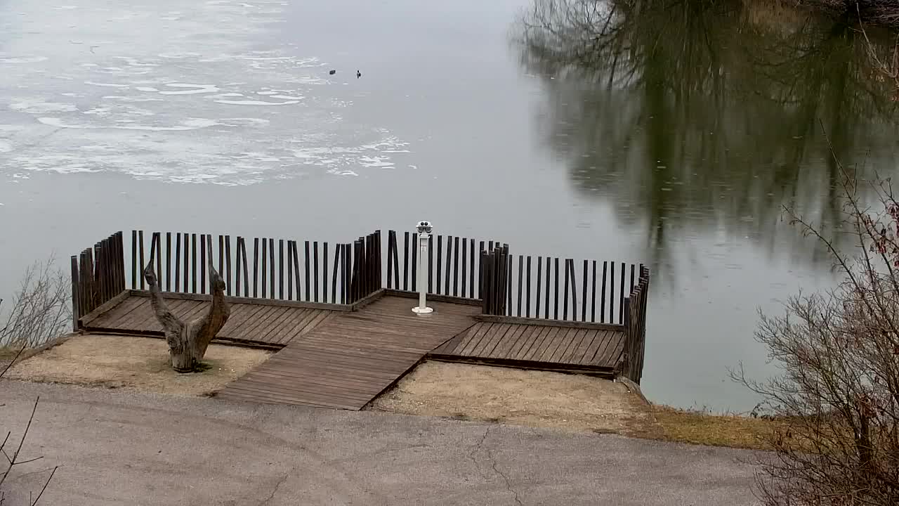 Webcam Ribnik Vrbje – Žalec