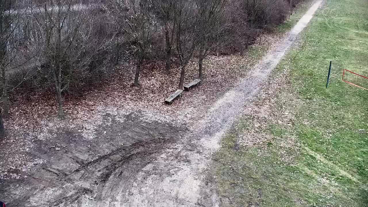 Spletna kamera Ribnik Vrbje – Žalec