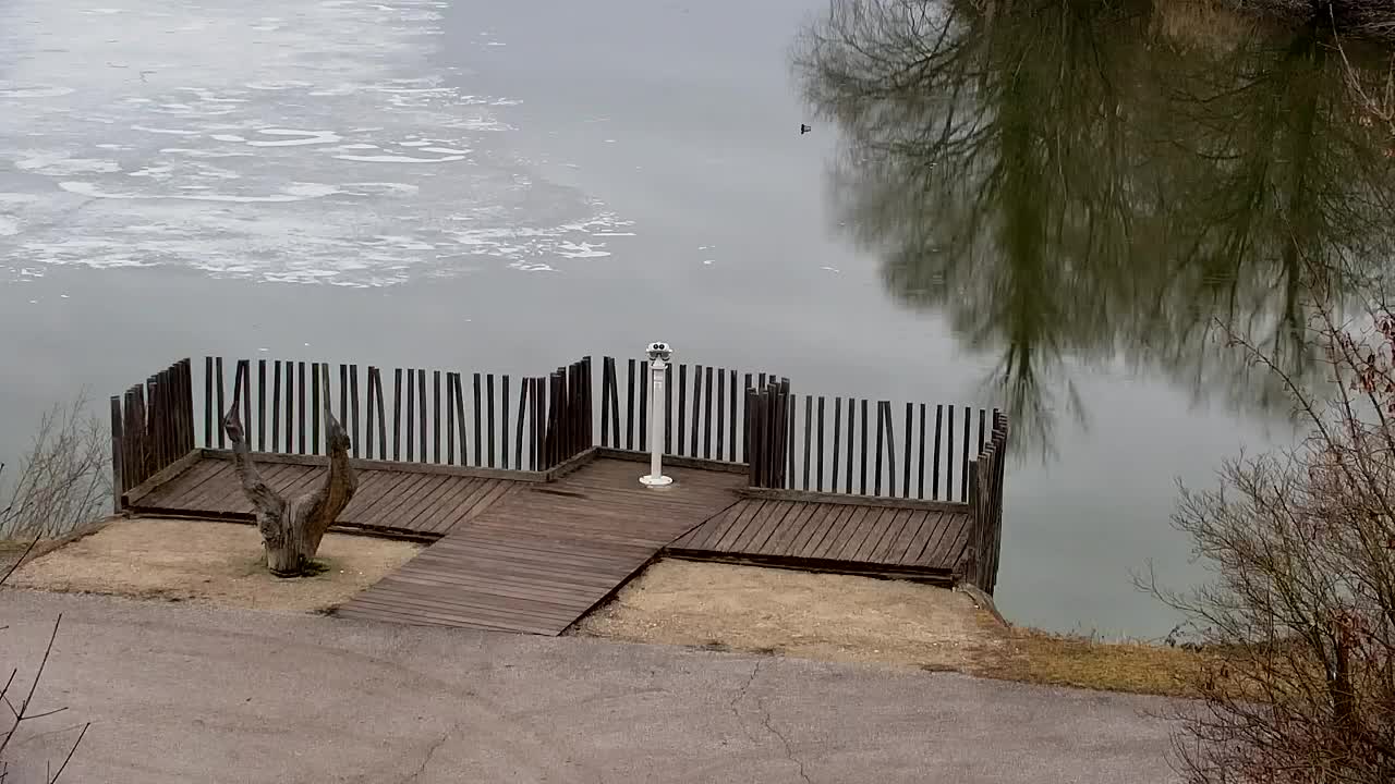 Webcam Ribnik Vrbje – Žalec