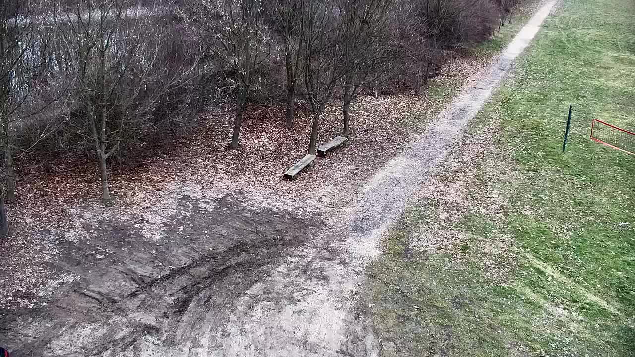 Webcam Ribnik Vrbje – Žalec